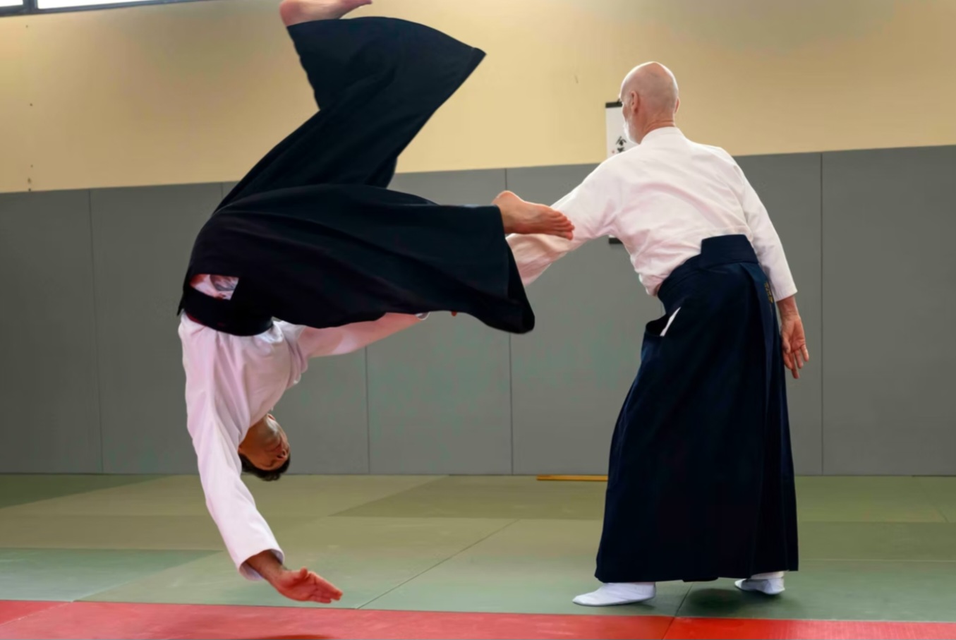 Projection en mouvement — stage IFA