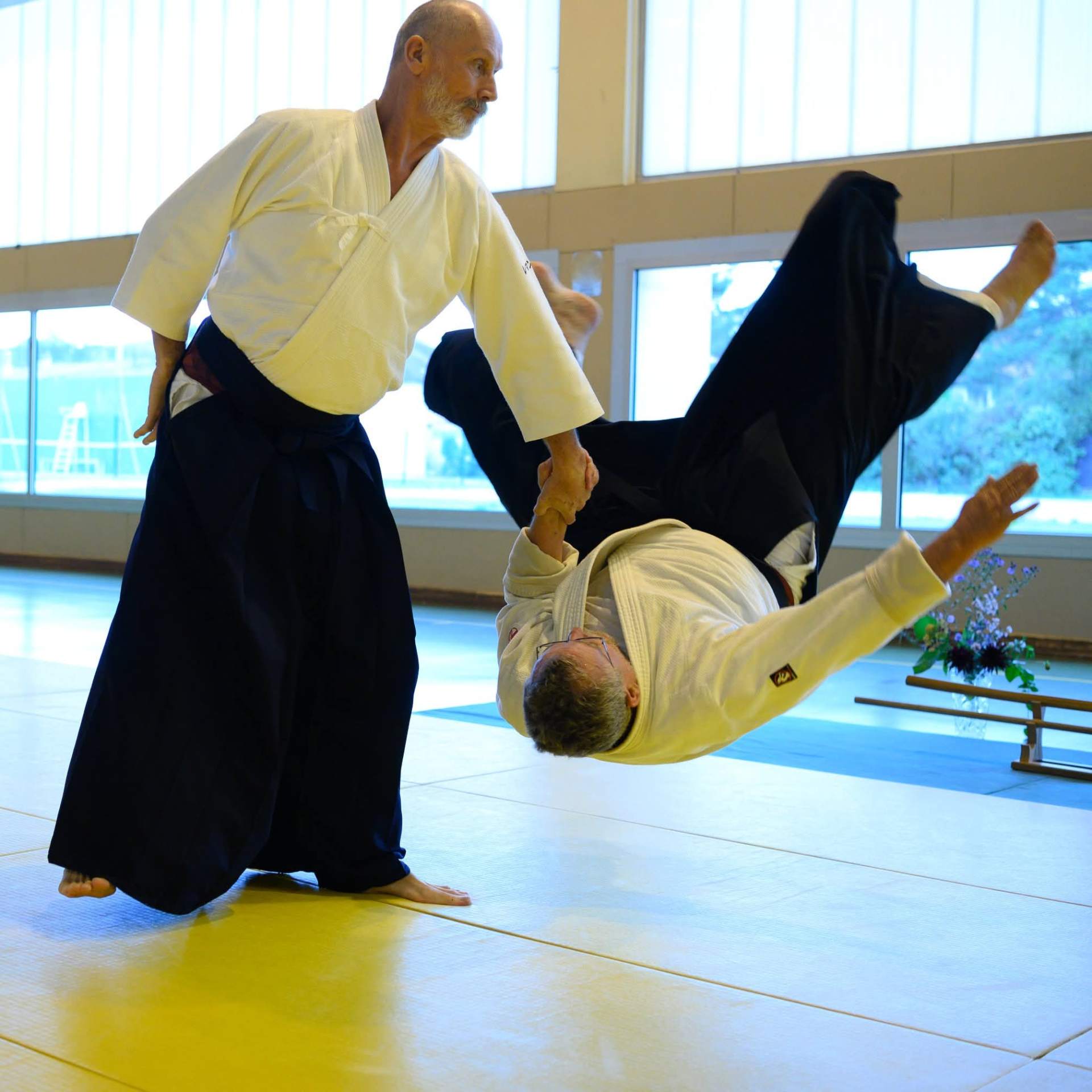 Projection — Léman Senseï Shihan